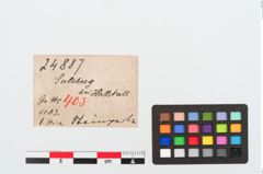 Etiketten zu Kalksteinringperle (NHMW-PRAE-024887)